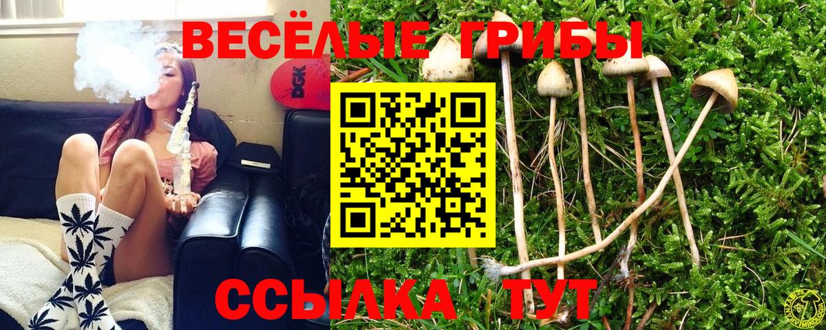 Галлюциногенные грибы прущие грибы  купить  сайты  Ростов Великий  Вход с VPN  Псилоцибиновые грибы MAGIC MUSHROOMS 